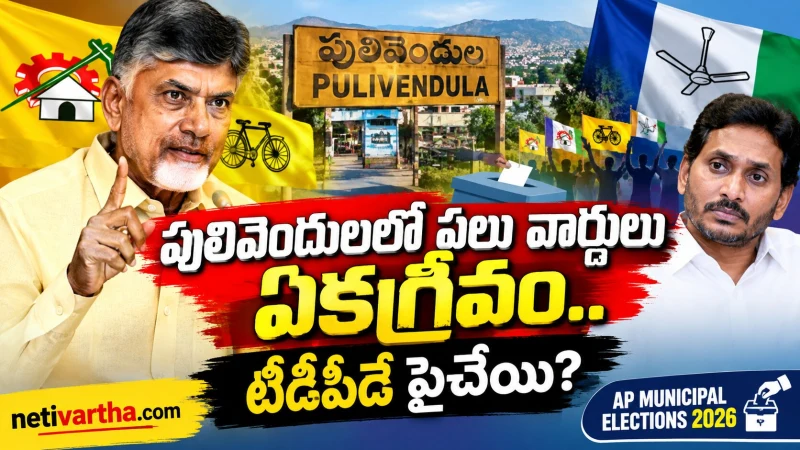 పులివెందులలో టీడీపీకి భారీ ఆధిక్యం? పలు వార్డులు ఏకగ్రీవం | AP Municipal Elections 2026 | TDP | YCP | Netivartha.com